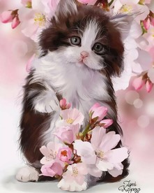 猫咪  手绘 花