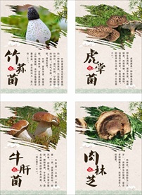 菌类