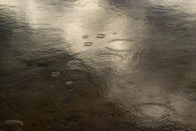 雨
