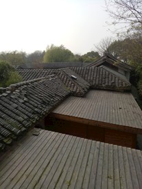 蠡园