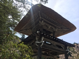 塔楼