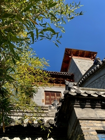 龙窝楼竹林春色