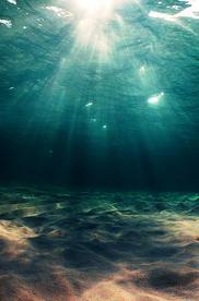 海底阳光