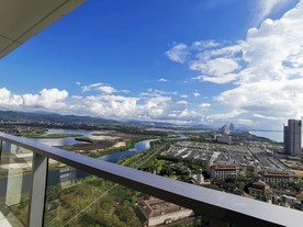 海 天空 云 地平线