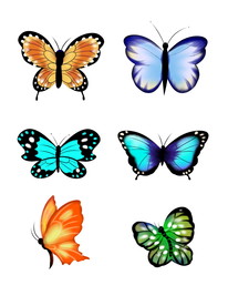 卡通飞舞的彩色蝴蝶