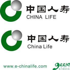 中国人寿保险