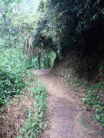 山中的小道