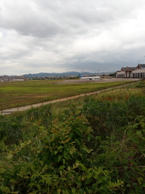 梅县  机场