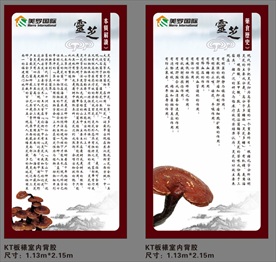 美罗国际