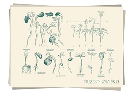 豆芽植物生长图鉴