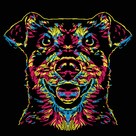狗狗简笔画