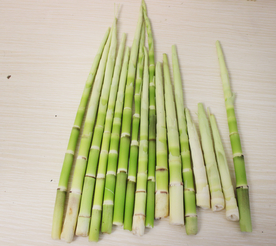 竹笋