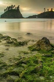 浅谈海边绿色礁石群自然风景图