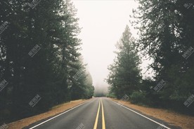 树林间的唯美公路