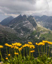 风景