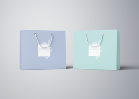 高档手提袋样机