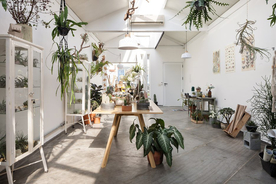 花店