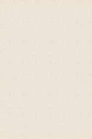 磨砂质感牛皮纸背景