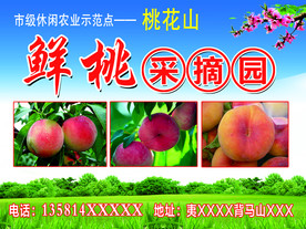 仙桃海报