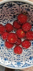 新鲜杨梅