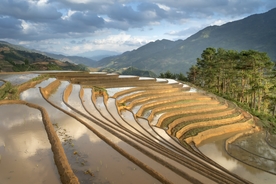 山区梯田景观