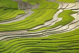山区梯田景观
