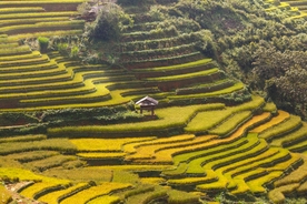 山区梯田景观