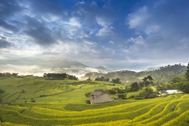 山区梯田景观