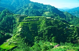 山区梯田景观