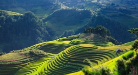 山区梯田景观