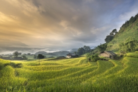 山区梯田景观