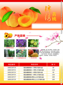 黄桃DM单页
