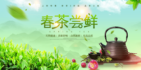 春茶尝鲜