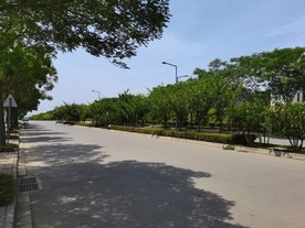空荡荡的道路