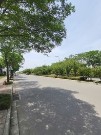 空荡荡的乡村道路