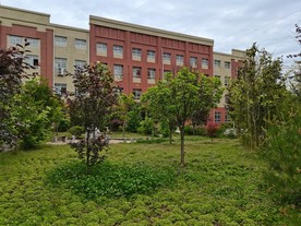 美丽的校园风景