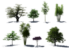 园林景观效果图植物psd抠图素