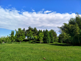 公园风景