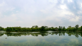 西溪湿地