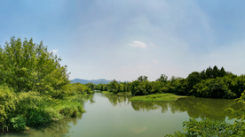 西溪湿地