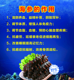 海参