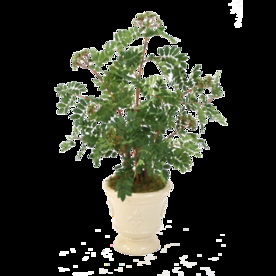 免抠背景花草树木