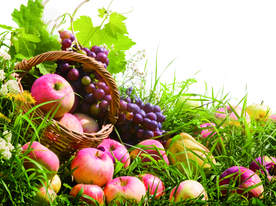 高清水果组图图片