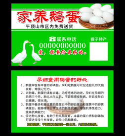 鹅蛋名片农业名片家养鹅绿色名片