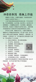 莲花寺庙展架