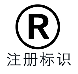R图标