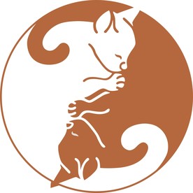 小狐狸