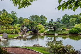 池塘