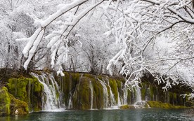 九寨沟箭竹海雪景