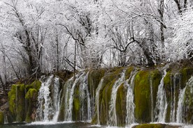 九寨沟箭竹海雪景